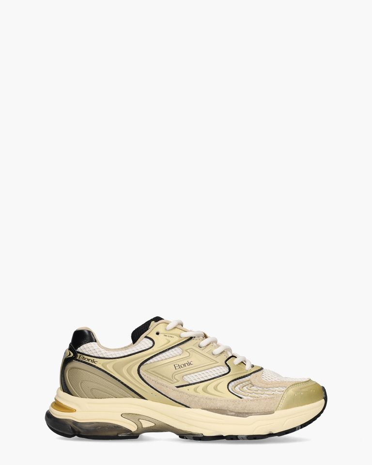 EVOLUTION METALLIC