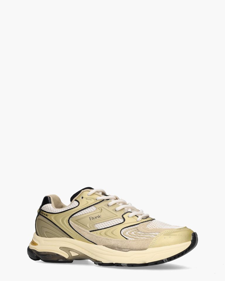 EVOLUTION METALLIC