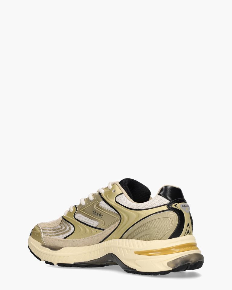 EVOLUTION METALLIC