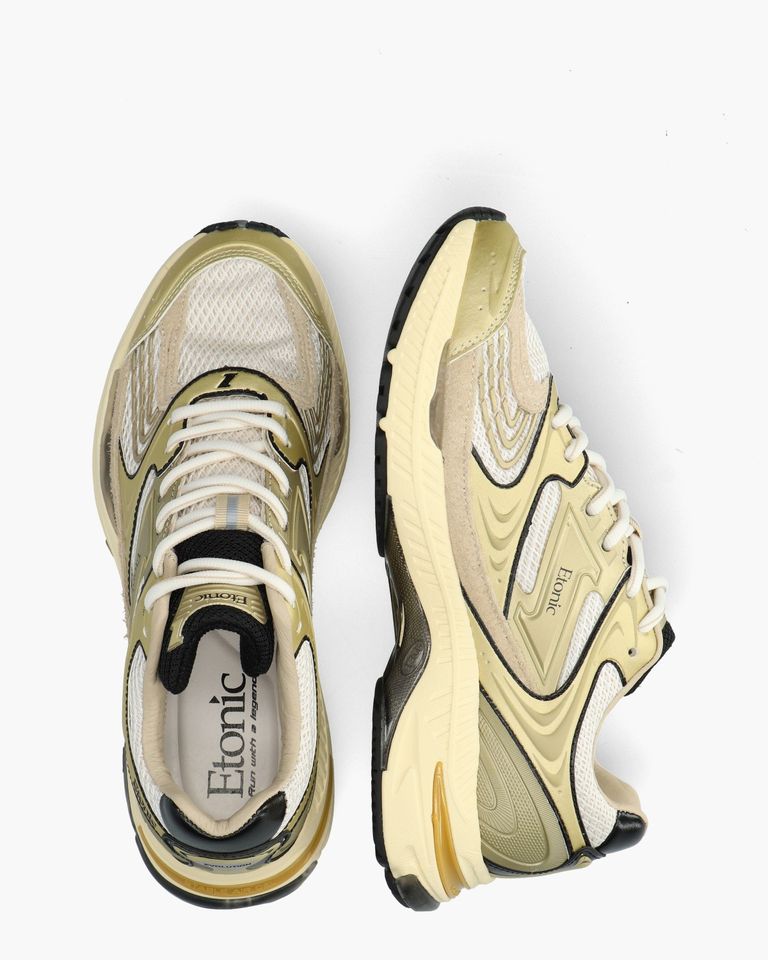 EVOLUTION METALLIC
