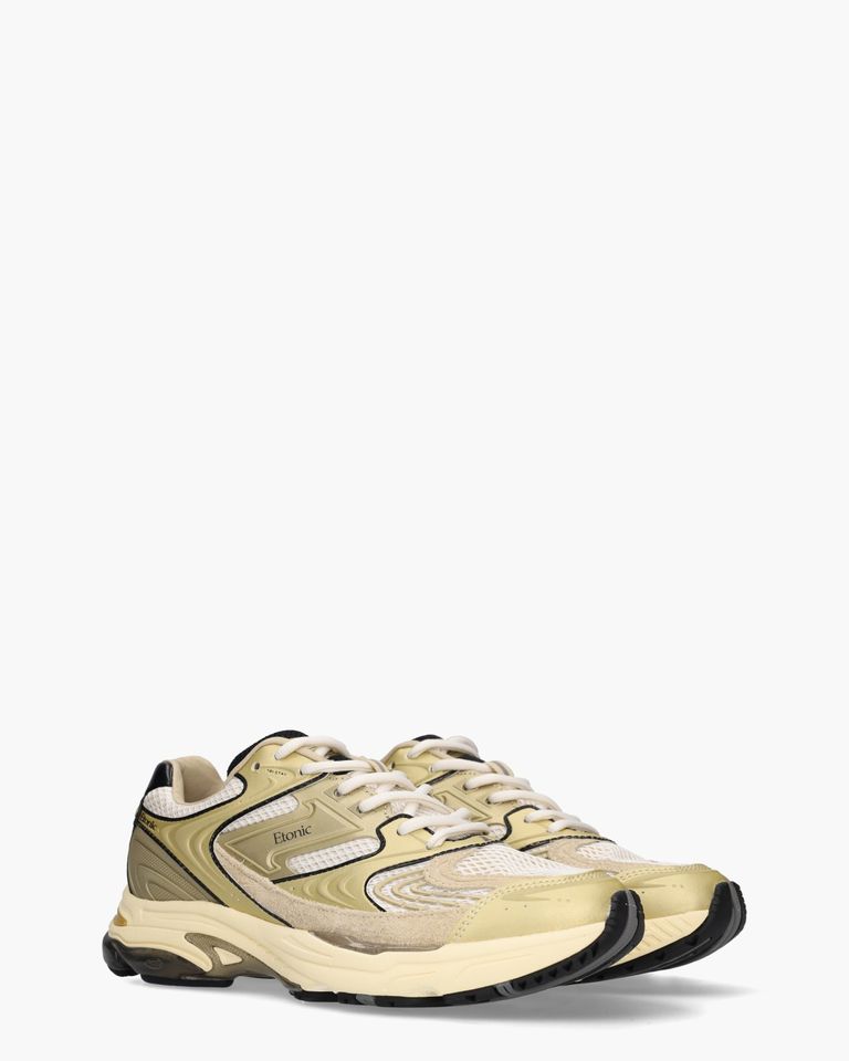 EVOLUTION METALLIC