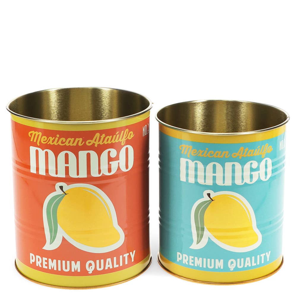 Boîtes de rangement moyennes (lot de 2) - Mangue