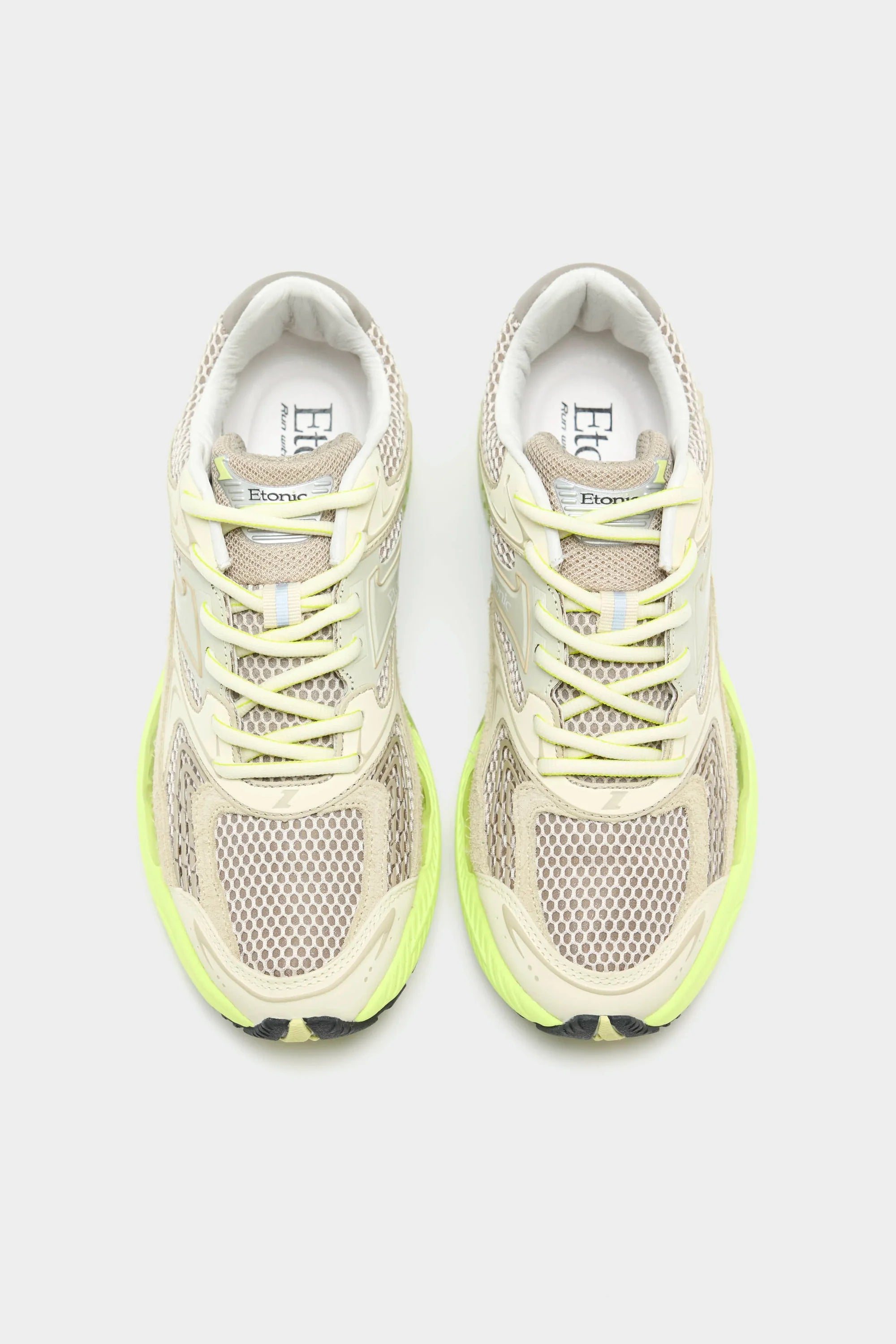 EVOLUTION FLUO